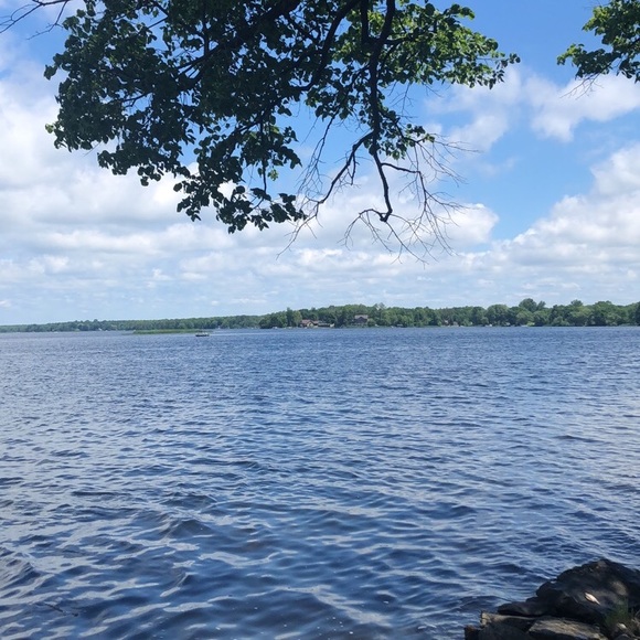 Meet your Posher, Taylor - Picture 1 of 1